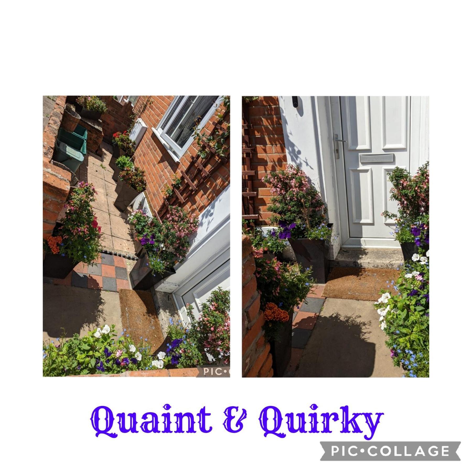Unique Quaint & Quirky House Colchester Town Centre Экстерьер фото